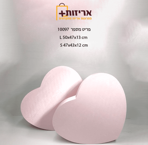 10097 ורוד 1